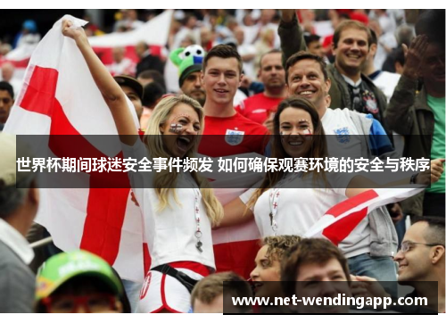 世界杯期间球迷安全事件频发 如何确保观赛环境的安全与秩序