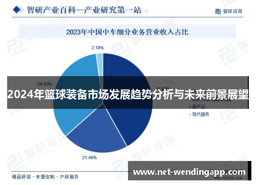 2024年篮球装备市场发展趋势分析与未来前景展望