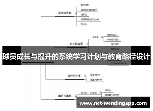 球员成长与提升的系统学习计划与教育路径设计