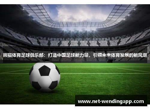熊猫体育足球俱乐部：打造中国足球新力量，引领未来体育发展的新风潮