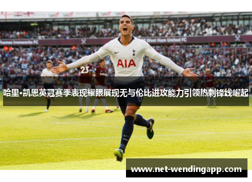 哈里·凯恩英冠赛季表现耀眼展现无与伦比进攻能力引领热刺锋线崛起