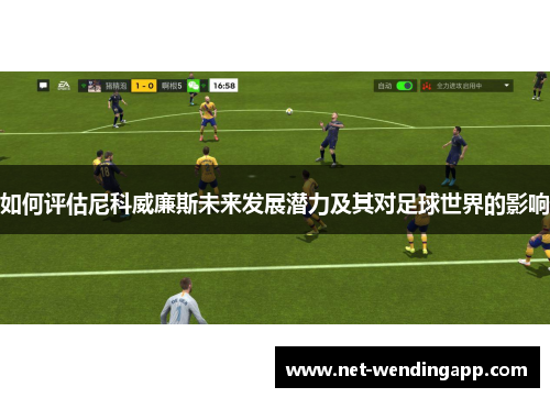 如何评估尼科威廉斯未来发展潜力及其对足球世界的影响