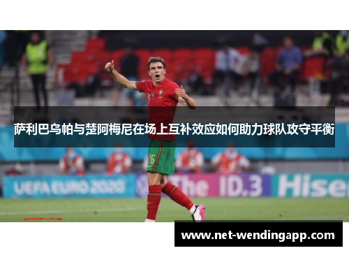 萨利巴乌帕与楚阿梅尼在场上互补效应如何助力球队攻守平衡