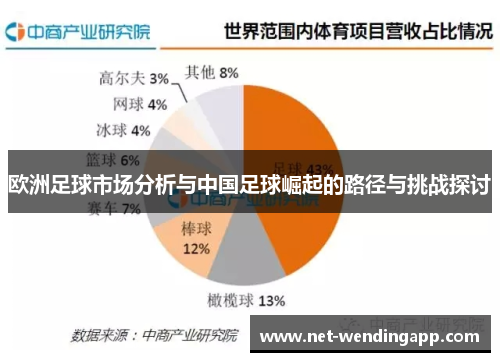 欧洲足球市场分析与中国足球崛起的路径与挑战探讨