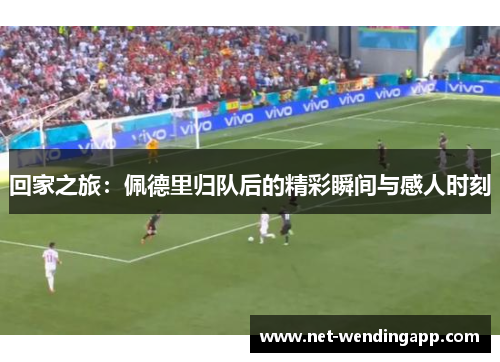 回家之旅：佩德里归队后的精彩瞬间与感人时刻