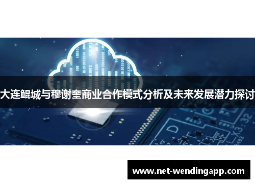 大连鲲城与穆谢奎商业合作模式分析及未来发展潜力探讨