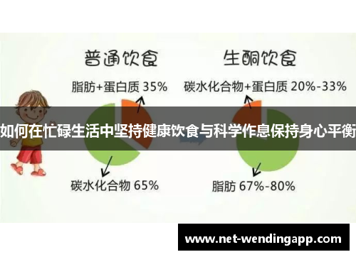 如何在忙碌生活中坚持健康饮食与科学作息保持身心平衡