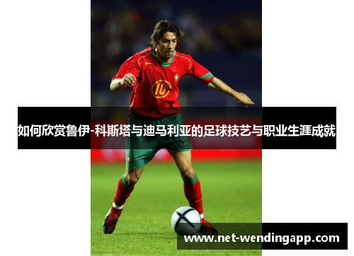 如何欣赏鲁伊-科斯塔与迪马利亚的足球技艺与职业生涯成就