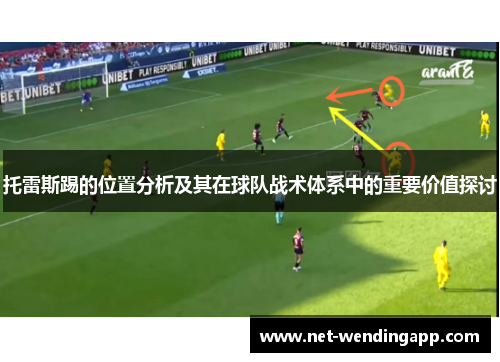 托雷斯踢的位置分析及其在球队战术体系中的重要价值探讨