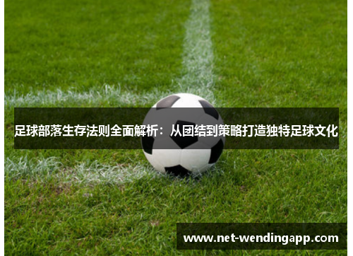 足球部落生存法则全面解析：从团结到策略打造独特足球文化